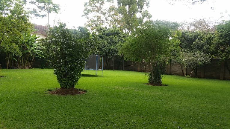 Eagle Eye Laser Center | Upper Hill Branch | Kenya 🇰🇪