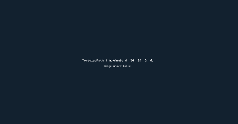 Source image from TortoisePath