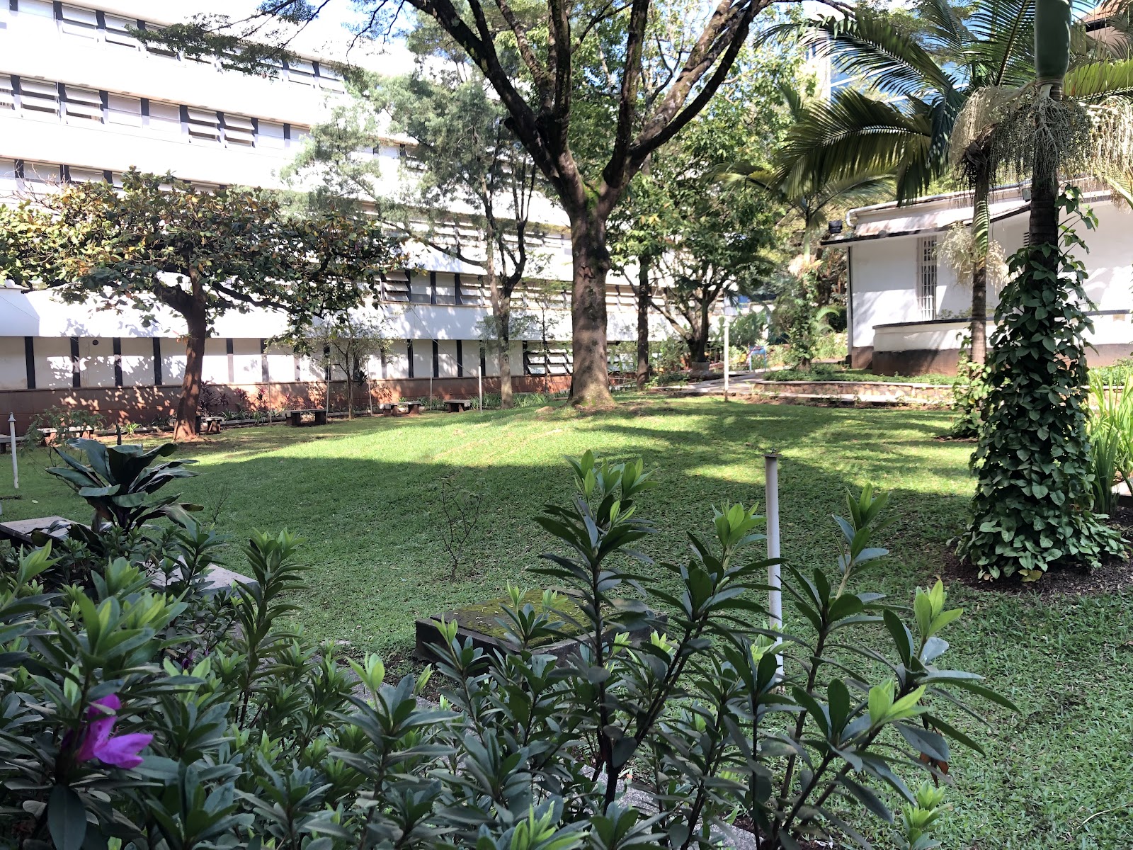 KCCA CITY HALL CLINIC | Uganda 🇺🇬