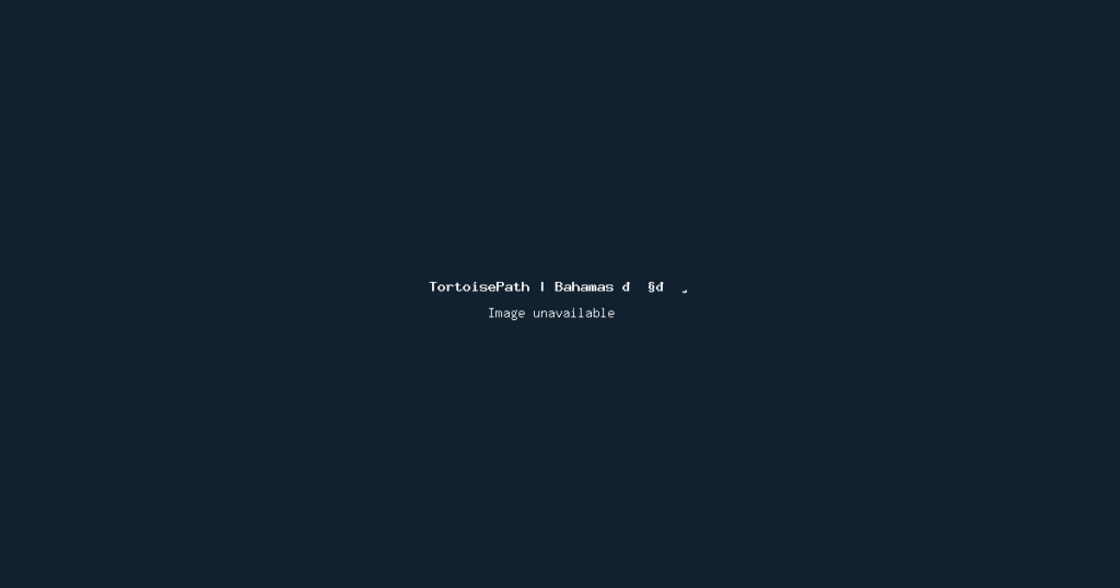 Source image from TortoisePath