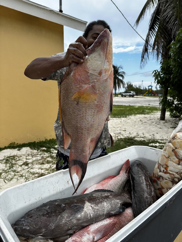 Source image from bahamas.tortoisepath.com