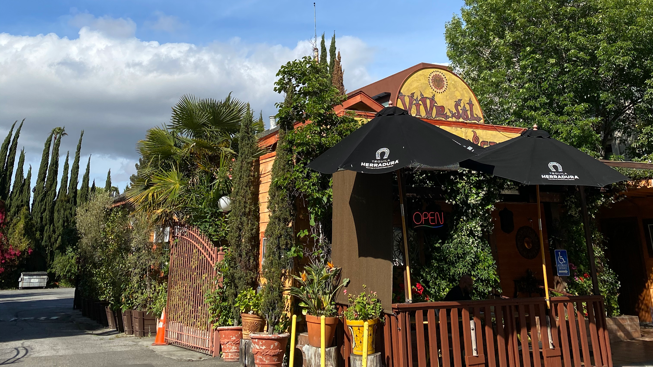 ViVe Sol — Mountain View