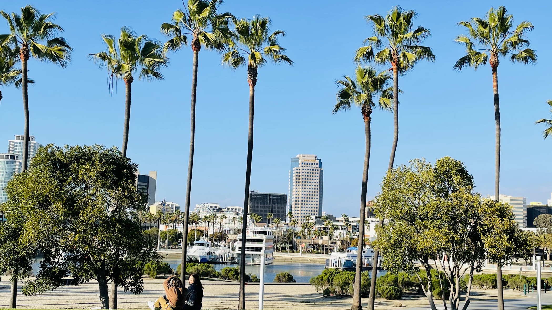 Long Beach City Beach — Long Beach