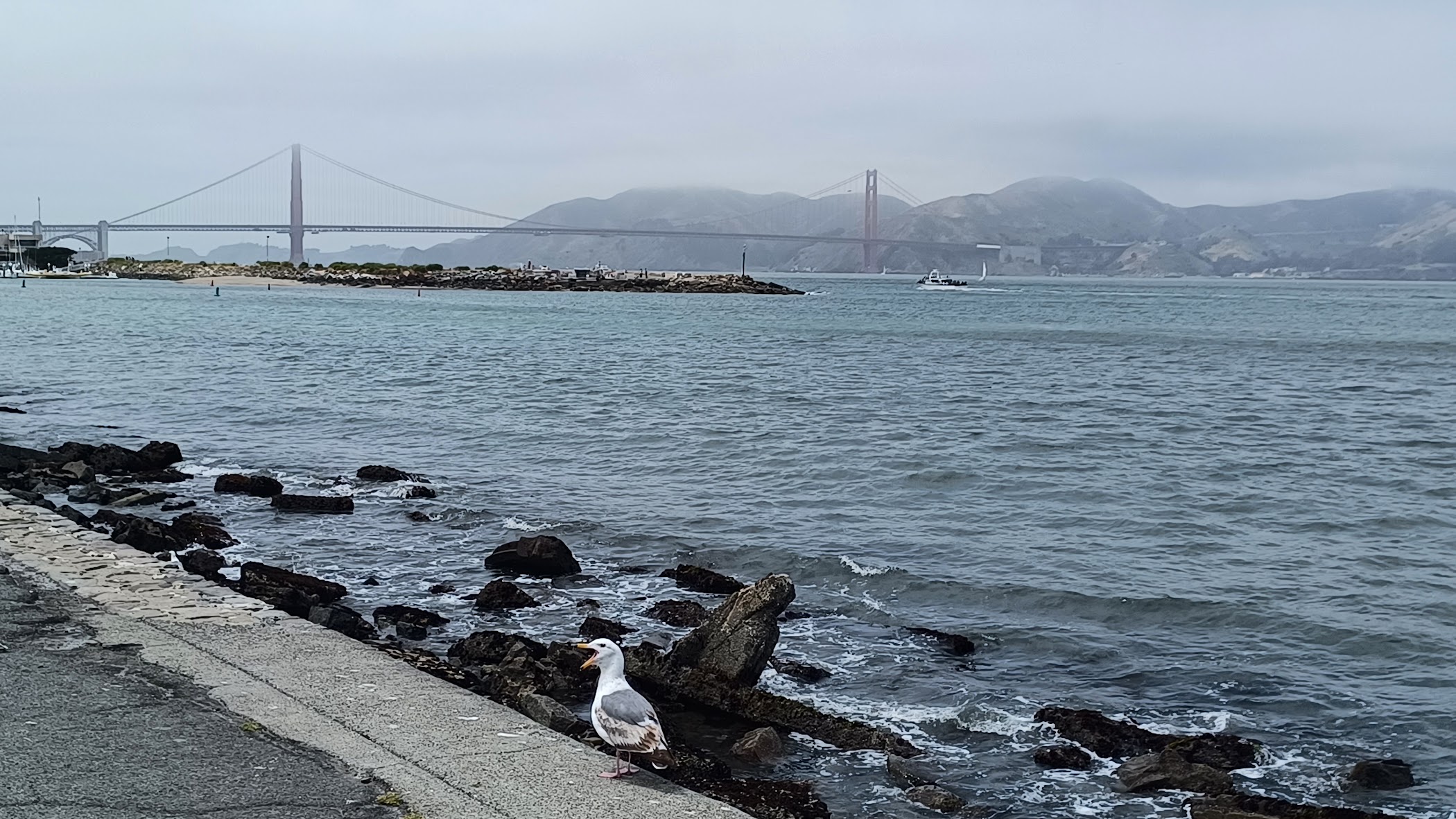 Clayton’s Anchor — San Francisco
