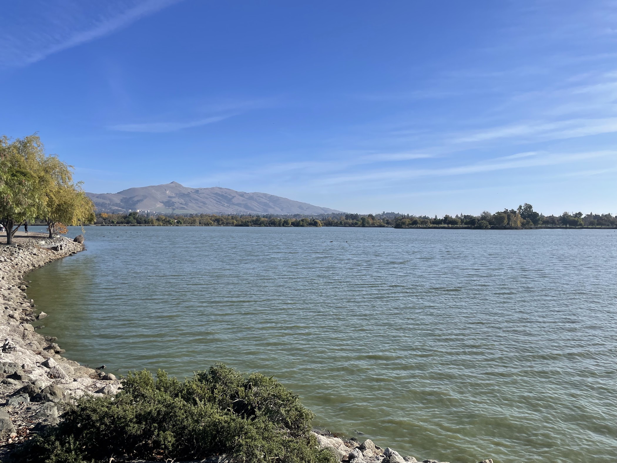 Central Park — Fremont
