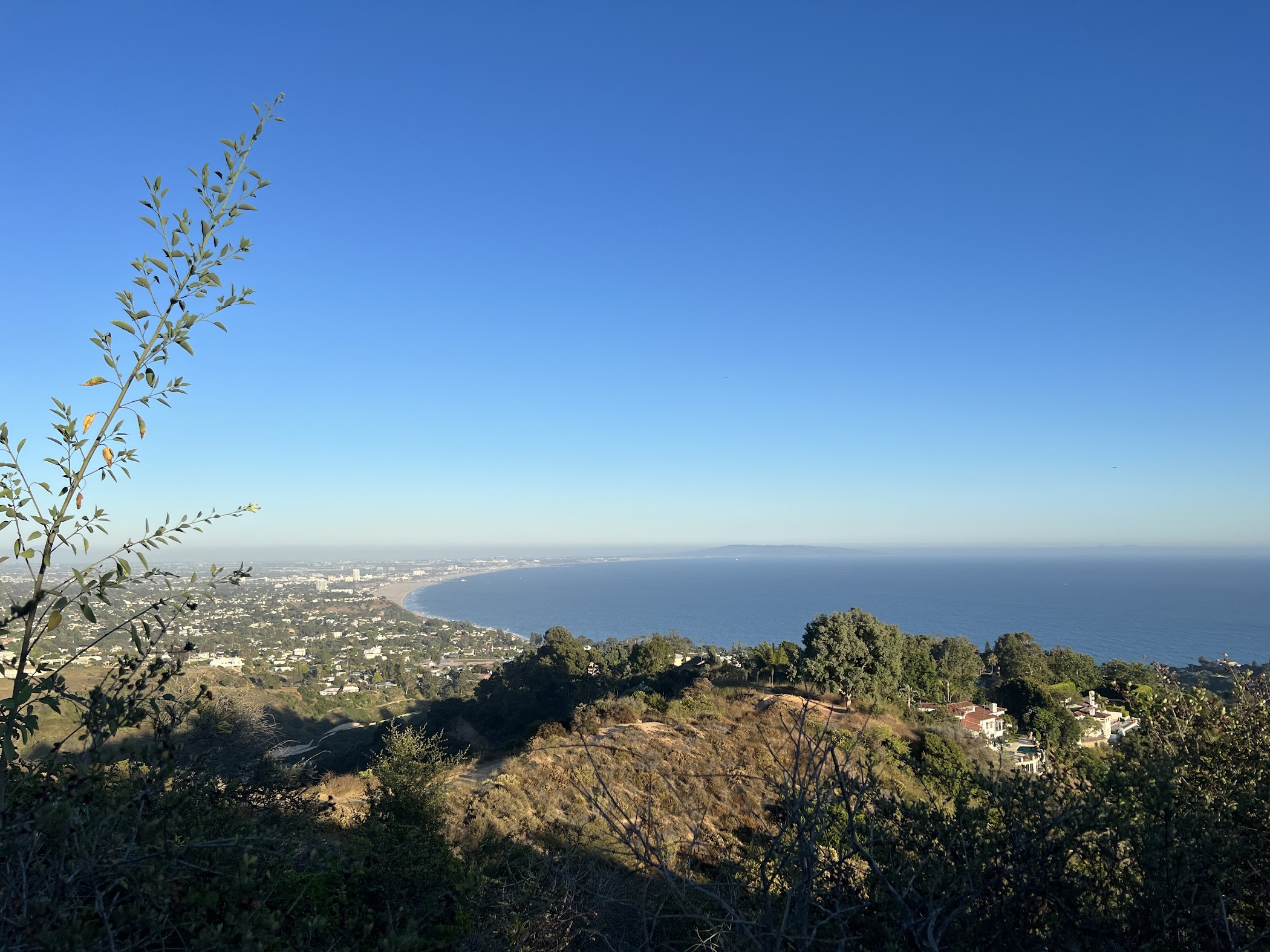 Paseo Miramar Viewpoint — Los Angeles