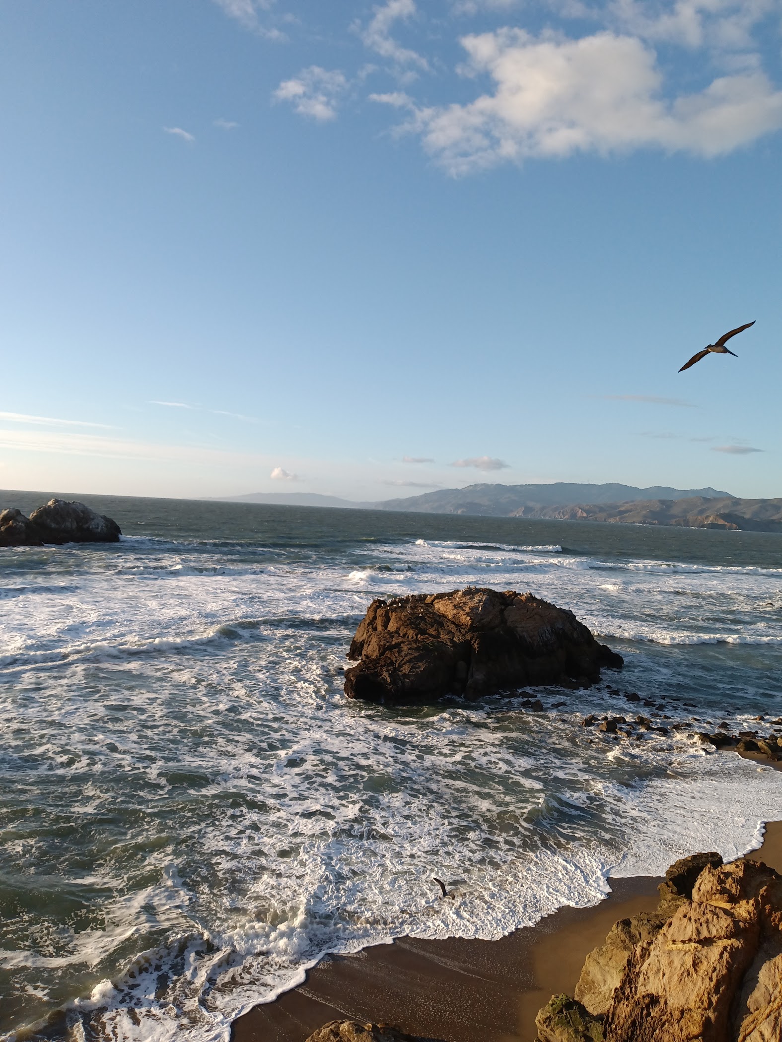 Point Lobos — San Francisco