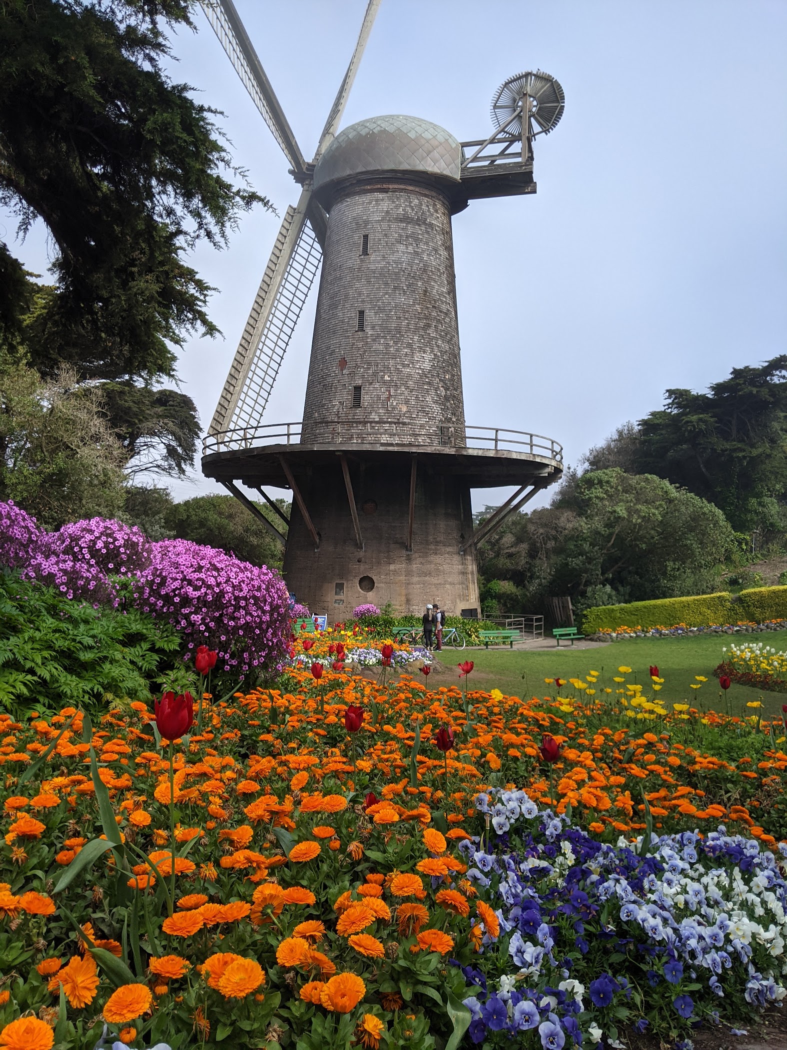 Queen Wilhelmina Garden — San Francisco