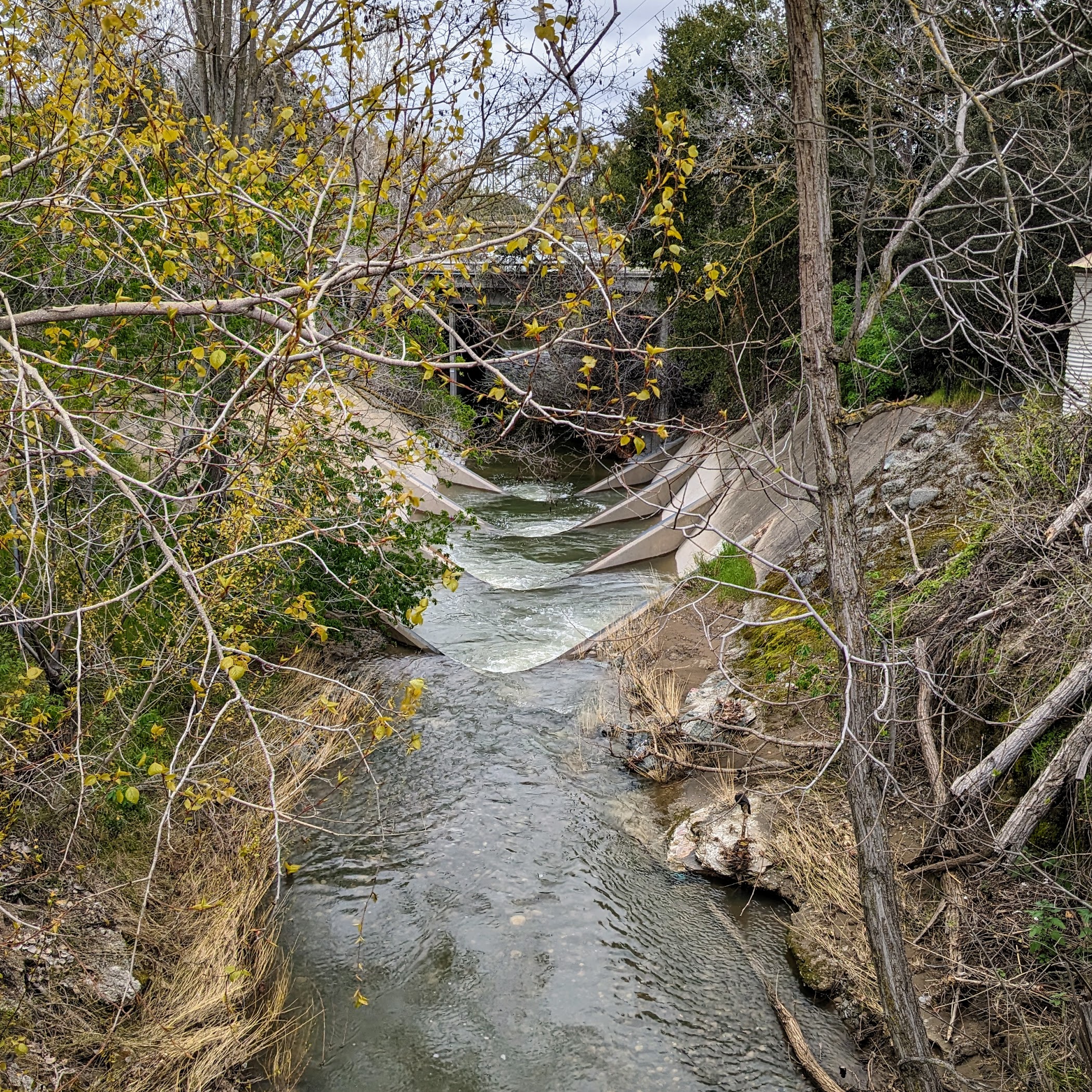 Stevens Path Stevens Creek Trail Central Avenue Entrance – TortoisePath | California ...