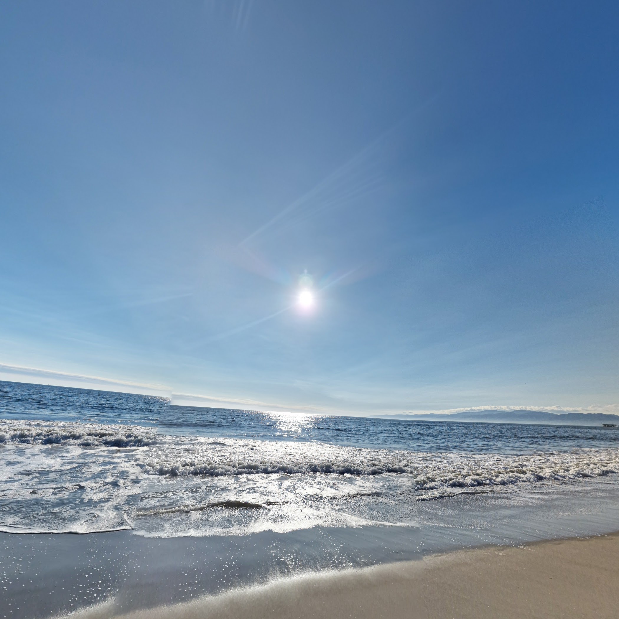 Venice Beach Protected Sand Dunes — Los Angeles
