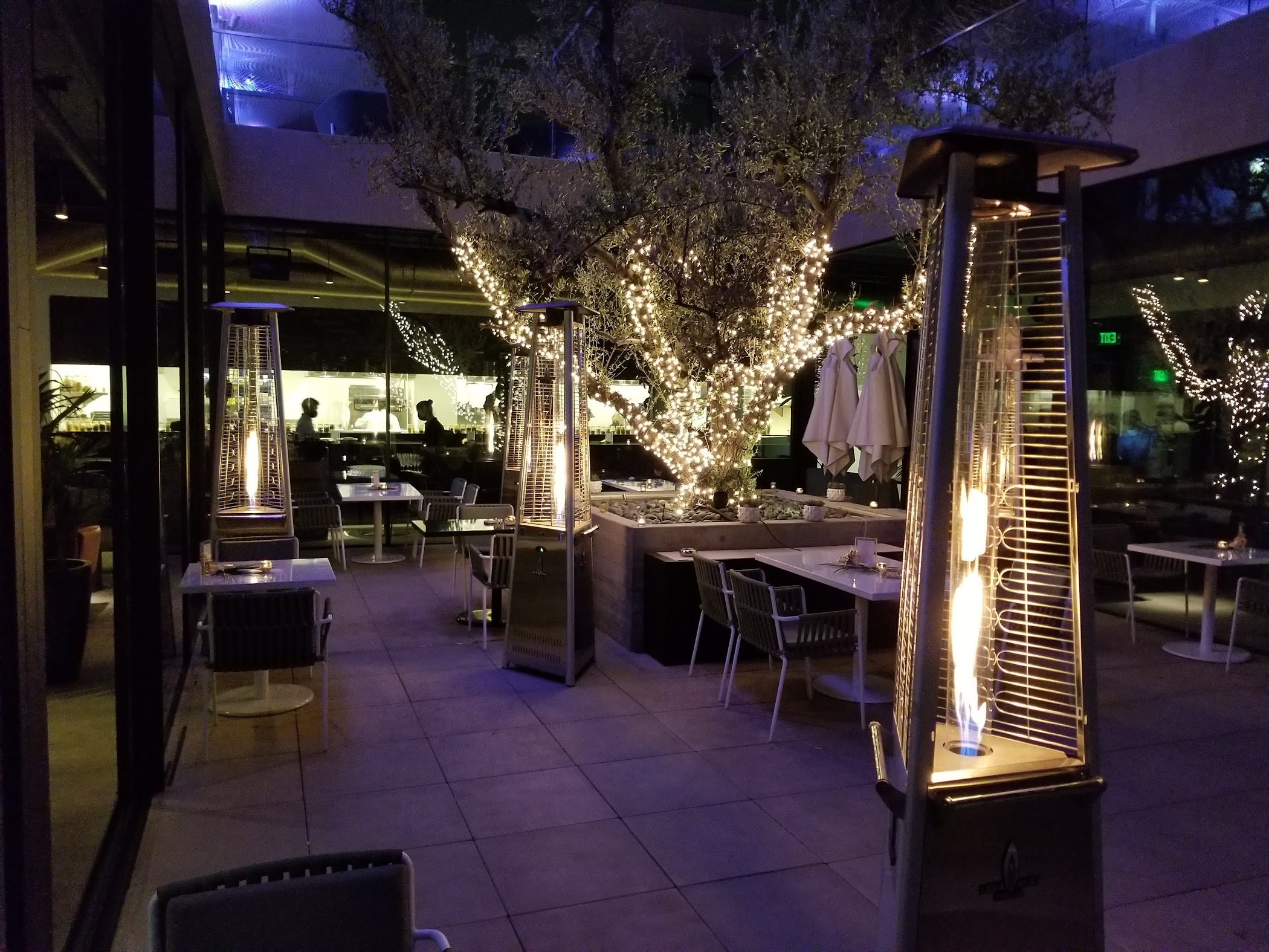 Spring Place (Beverly Hills) – TortoisePath | California | USA 🇺🇸