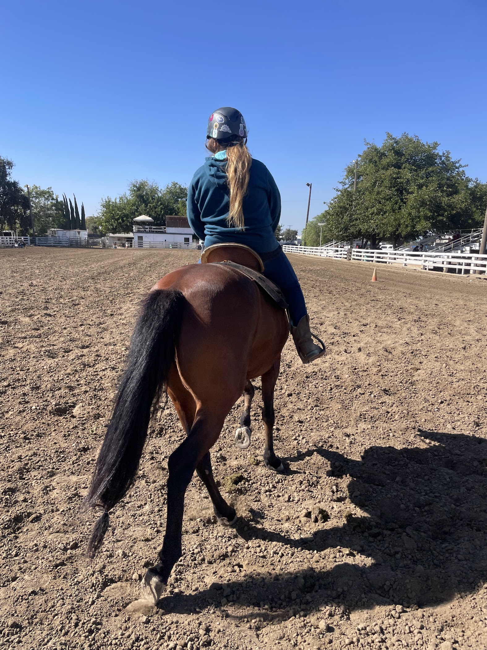 4 Horse Ranch – TortoisePath | California | USA 🇺🇸