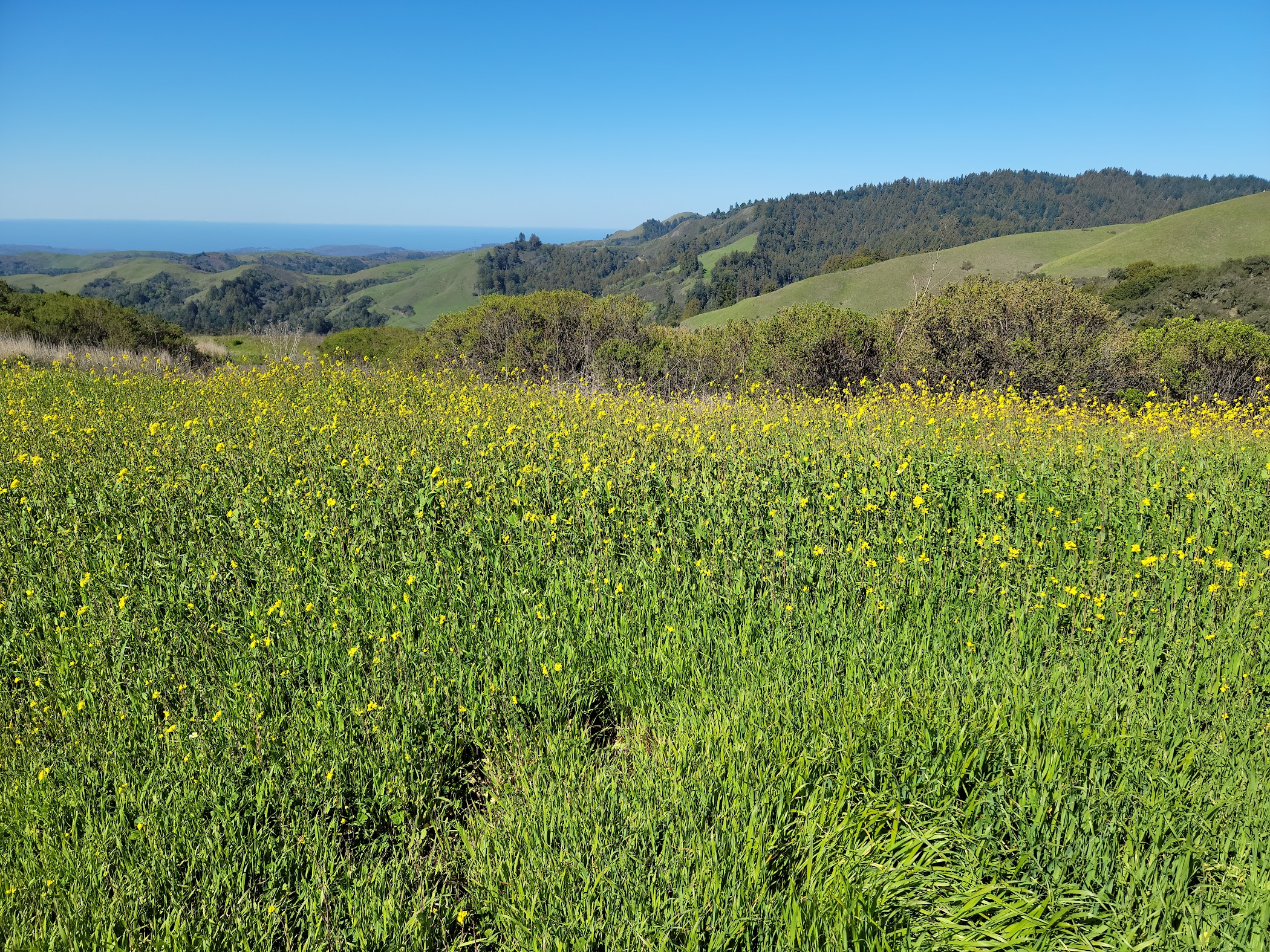 Arrival and context view at Alpine Trail (Trailhead) in Portola Valley, California.