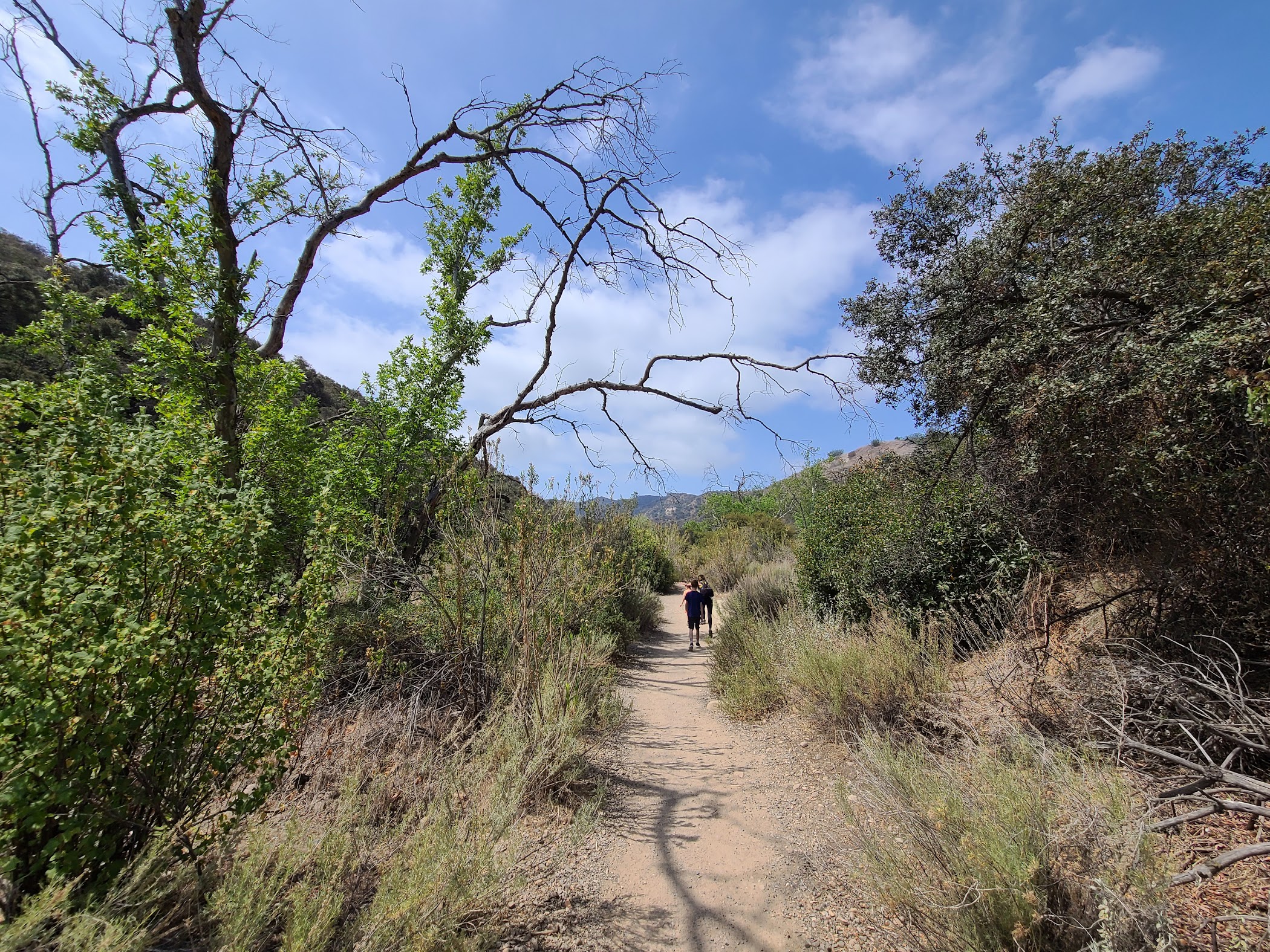 Caballero Canyon Trail — Los Angeles