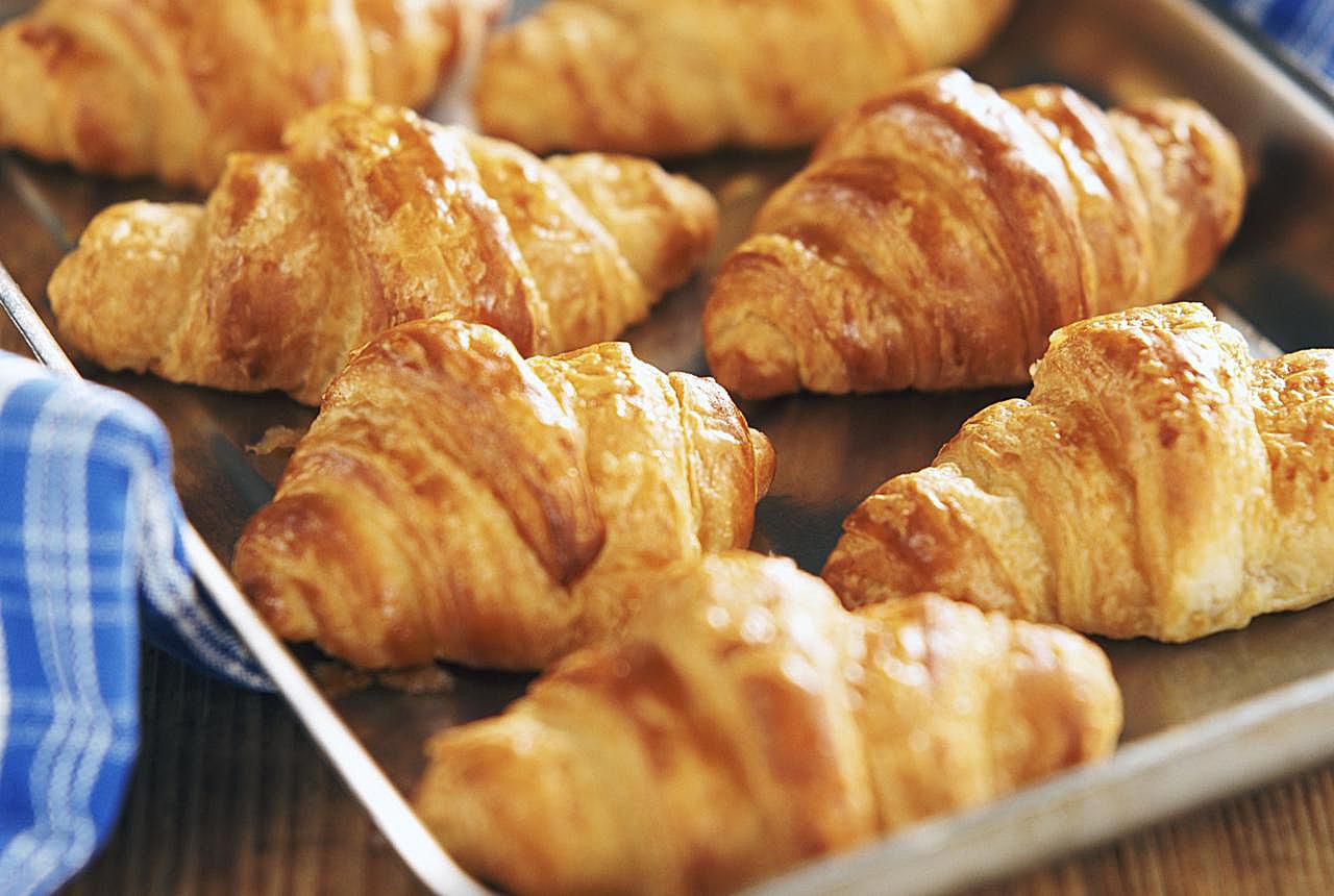 Daily Bakery “Daily Bread” Bakery – TortoisePath | Celebrations 🎉