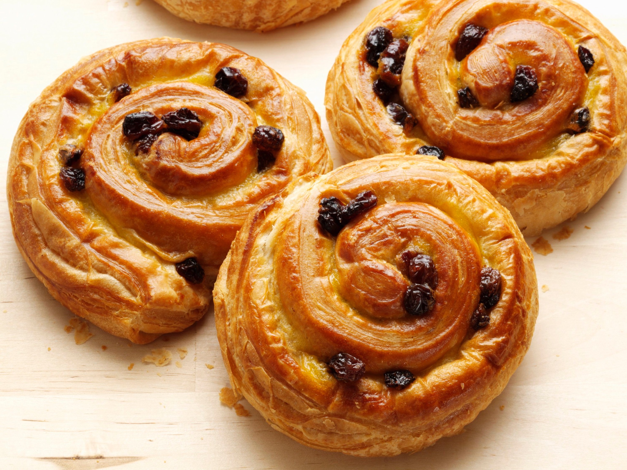 Daily Bakery “Daily Bread” Bakery – TortoisePath | Celebrations 🎉