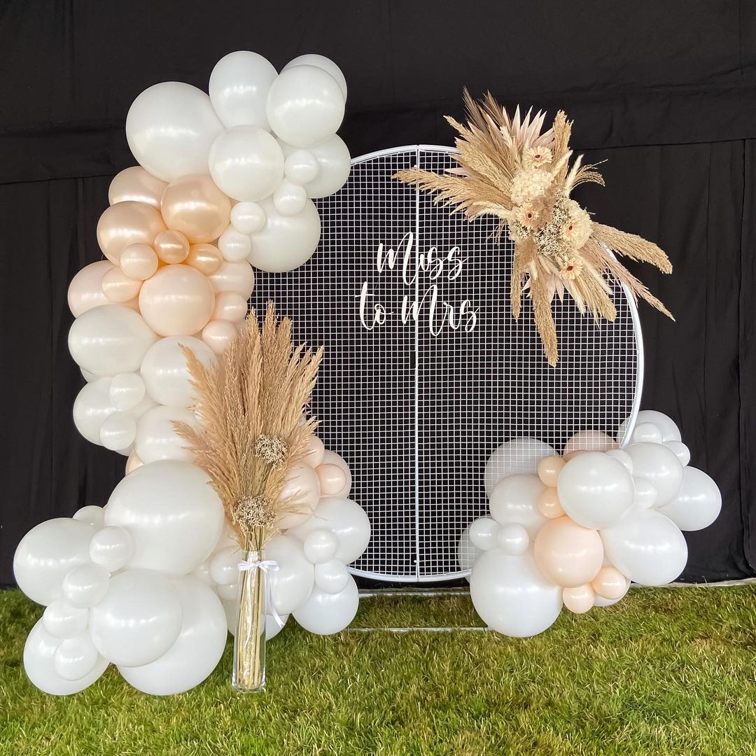 Backdrops By Acerr – TortoisePath | Celebrations 🎉