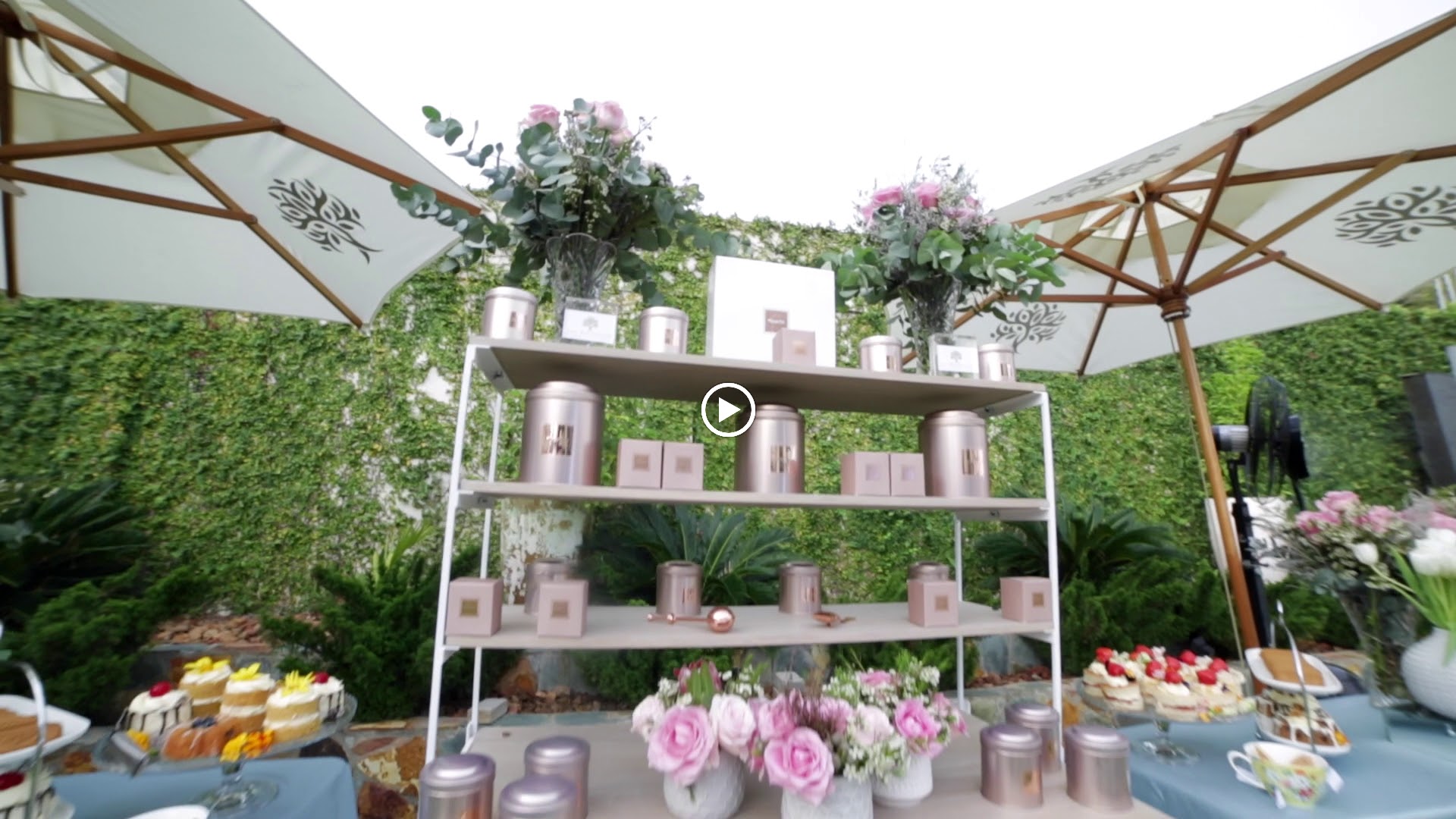 Source image from TortoisePath