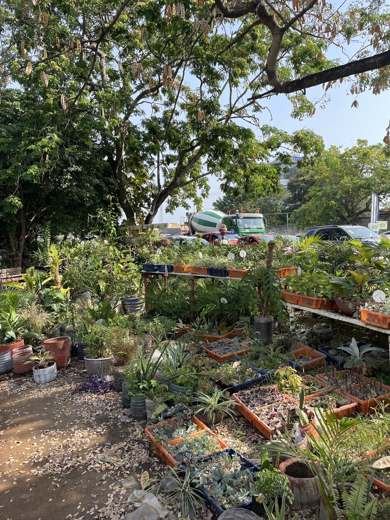 Flower Village — Accra