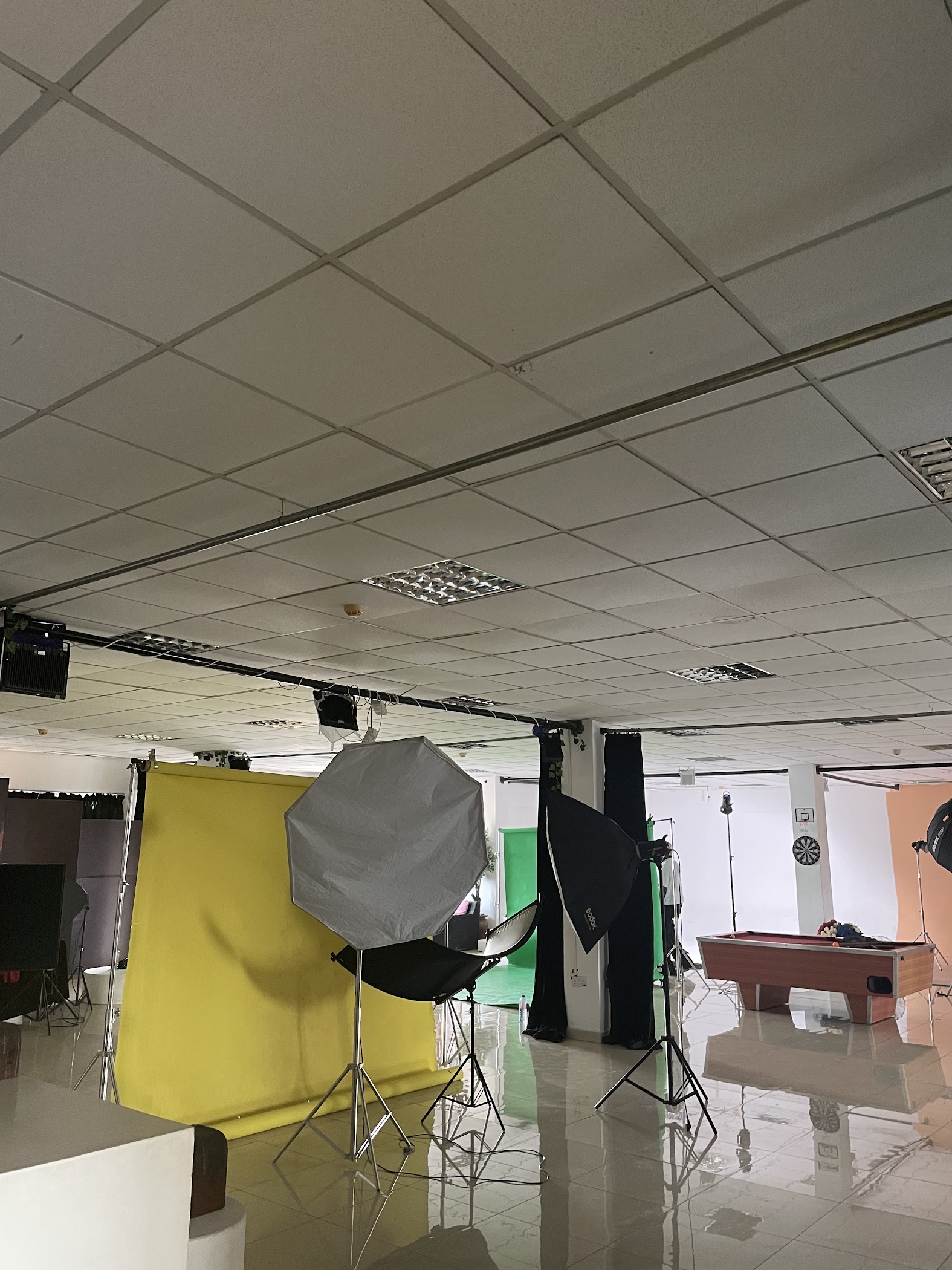 Oasis Studios – TortoisePath | Celebrations 🎉