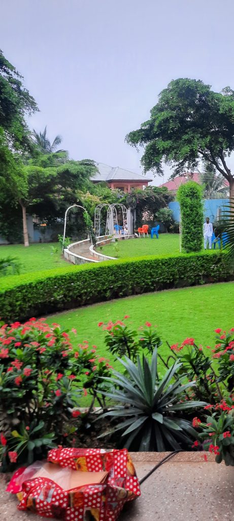 Garden and landscaped outdoor area