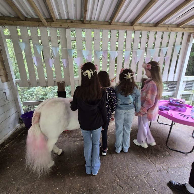 Ponies at my Party | UK