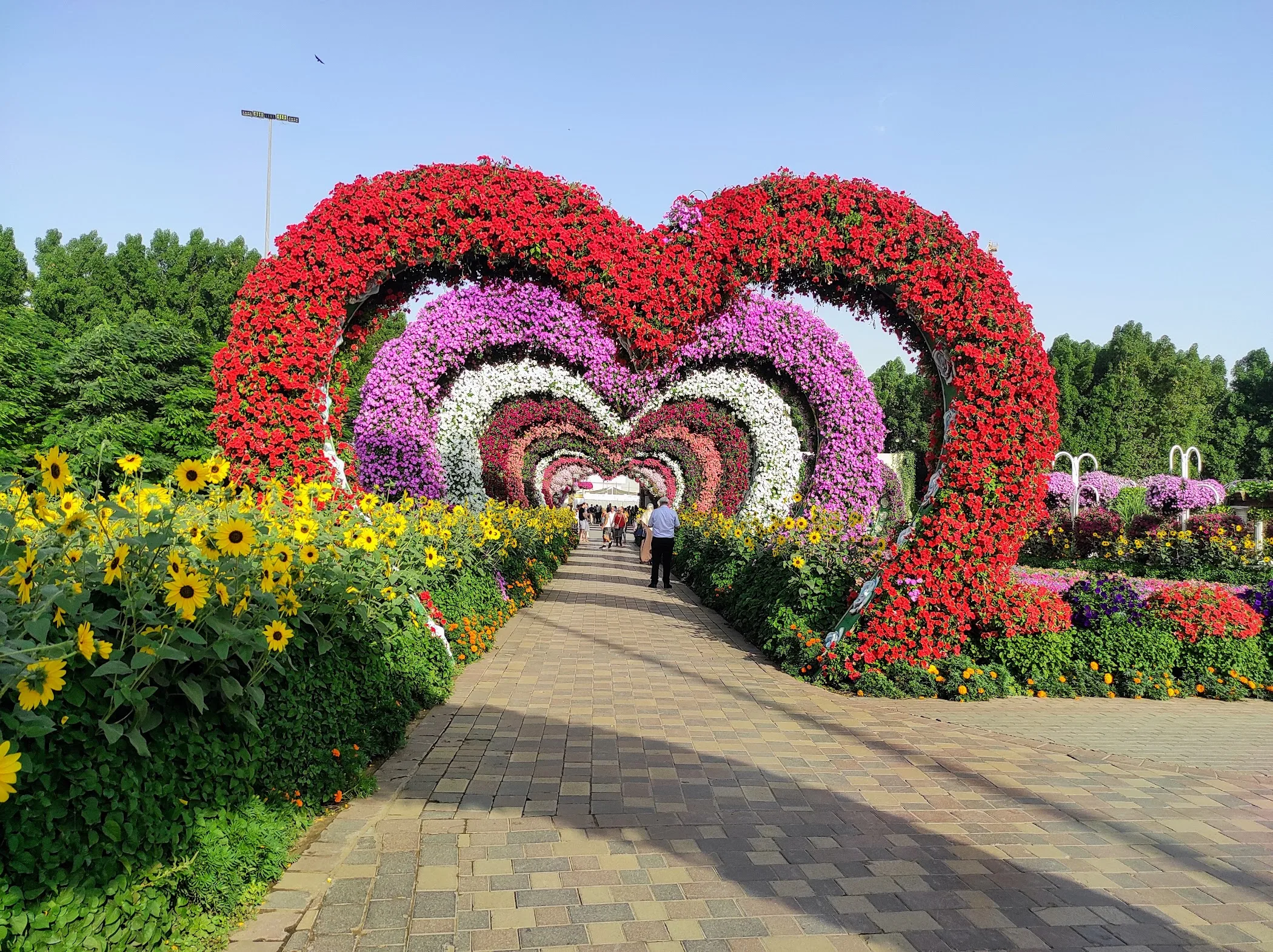 Dubai Miracle Garden — Dubai