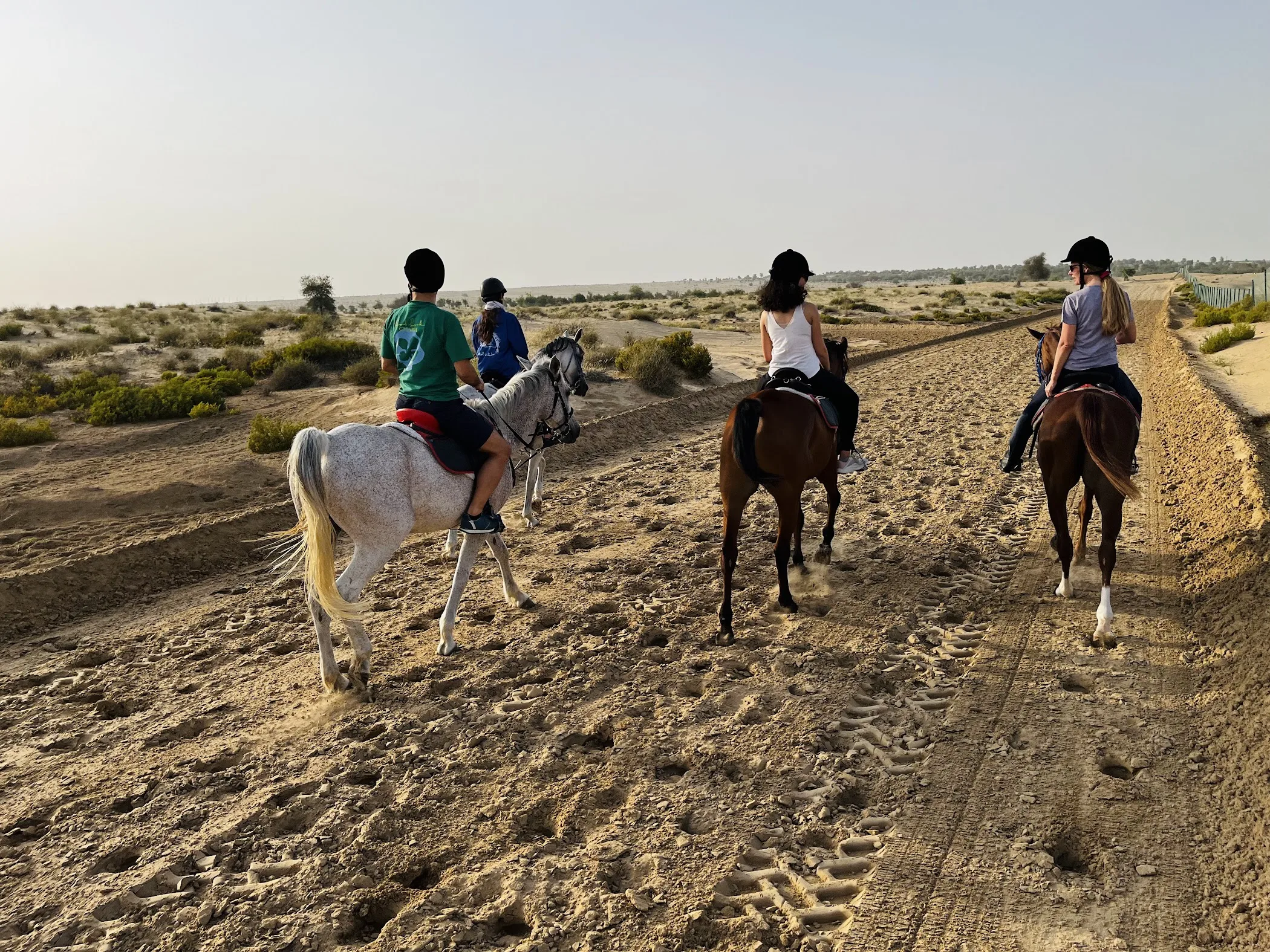 Al Jiyad Stables