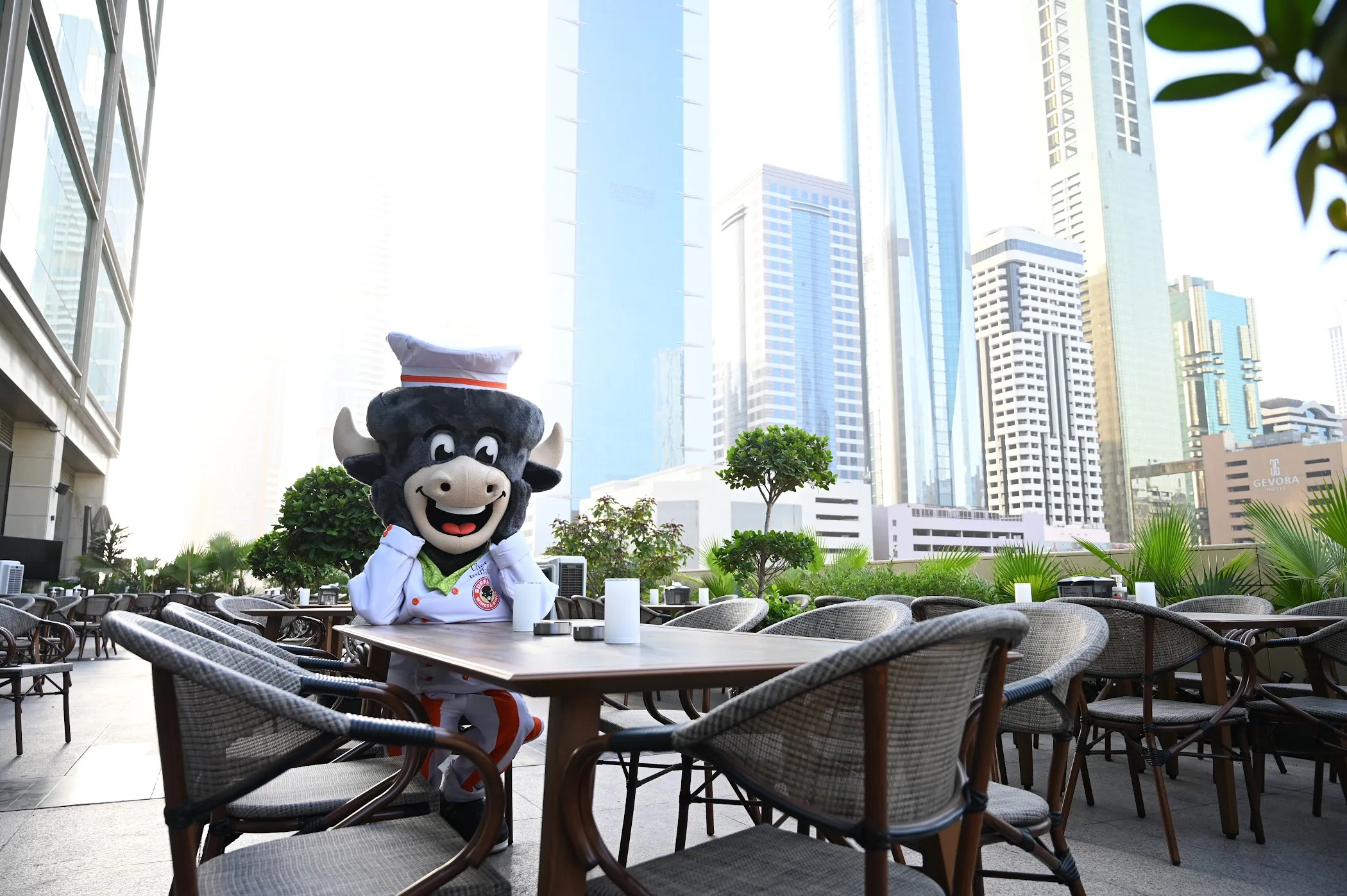 Buffalo Wings & Rings | Dubai International Financial Centre
