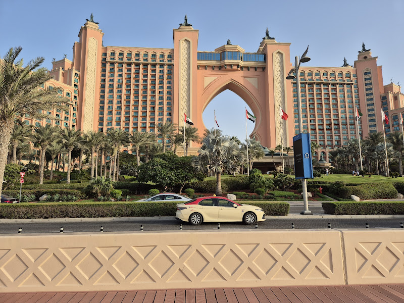 Dubai Palm Tree | UAE