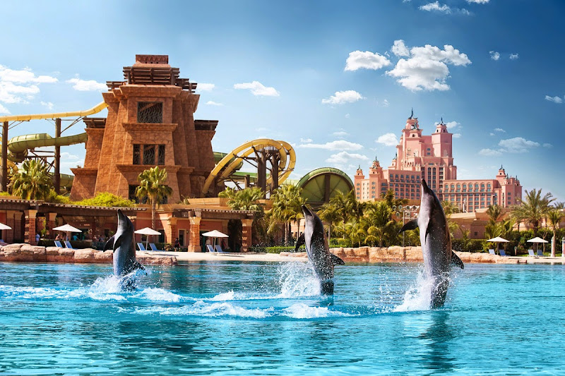 Dolphin Bay at Aquaventure World | UAE