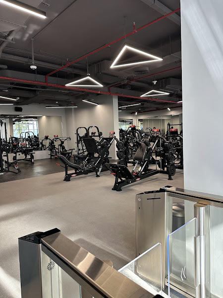 OneFit Gym | UAE