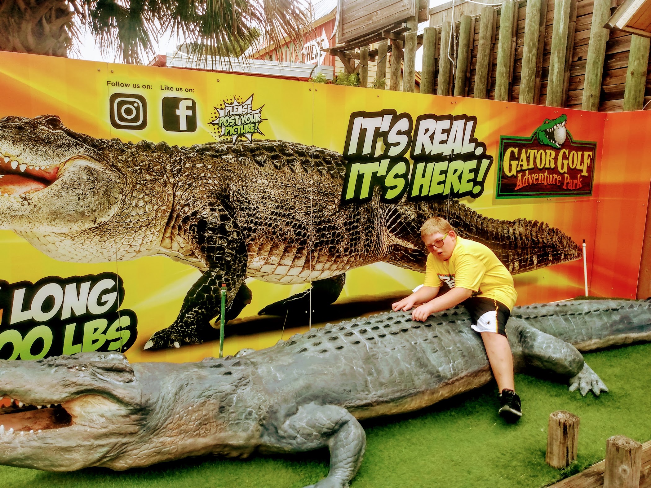 Gator Paths Gator Golf Adventure Park – TortoisePath | Florida | USA 🇺🇸