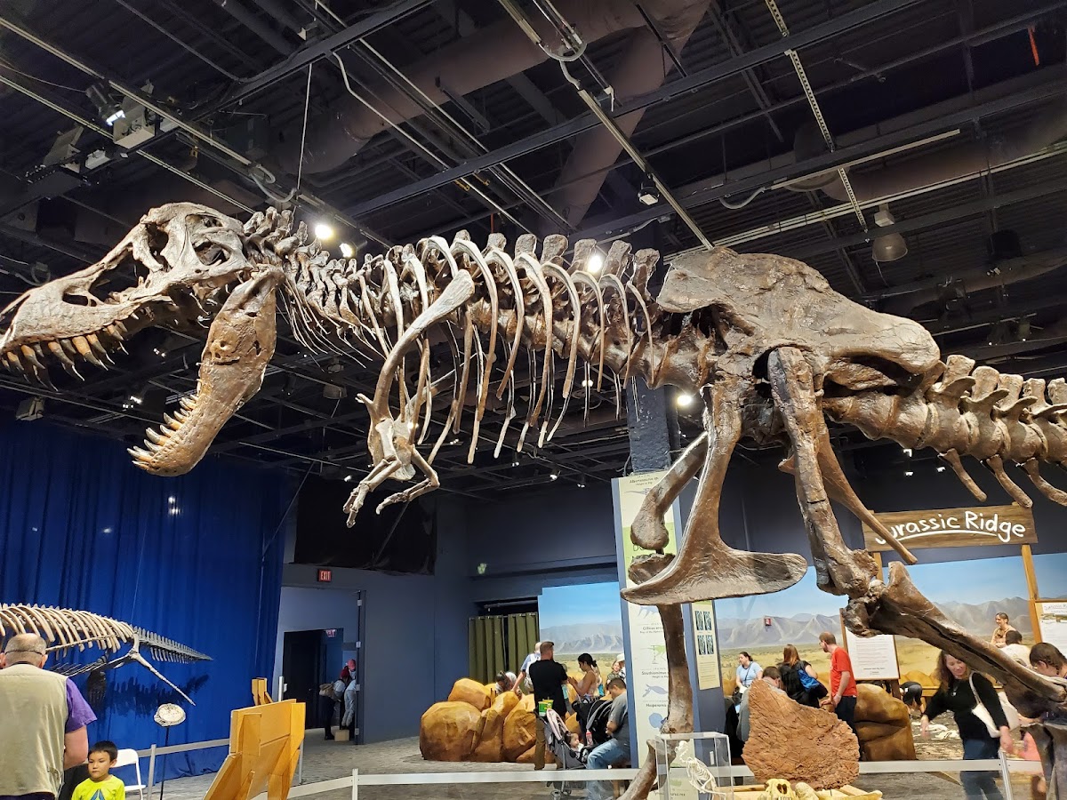 Orlando Science Center | Florida USA 🇺🇸 — Orlando