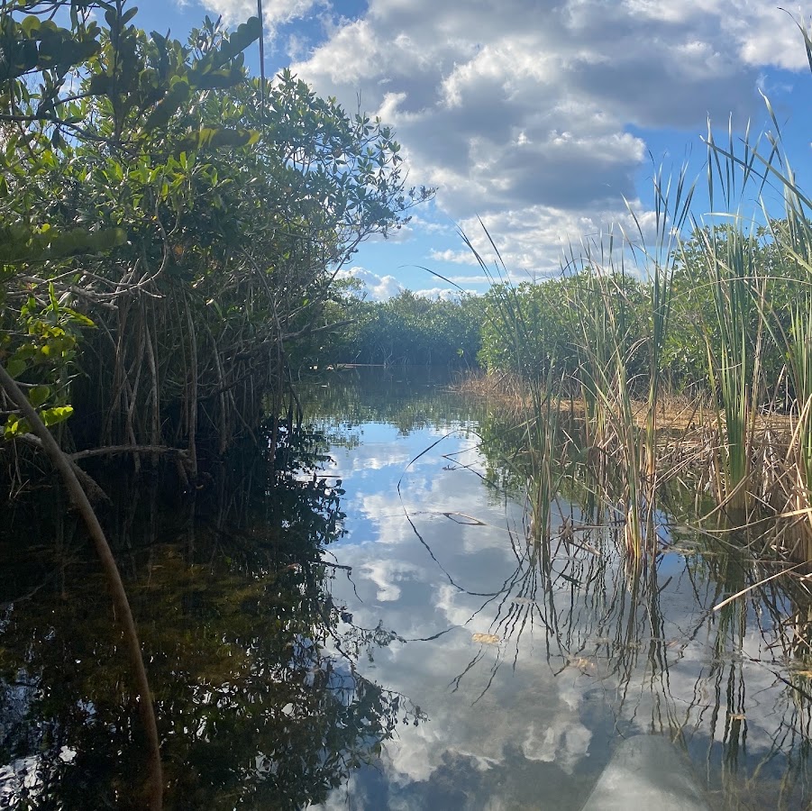 Nine Mile Pond Trail | Florida USA 🇺🇸 — Homestead