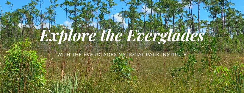 Everglades National Park Institute | Florida USA 🇺🇸 — Homestead