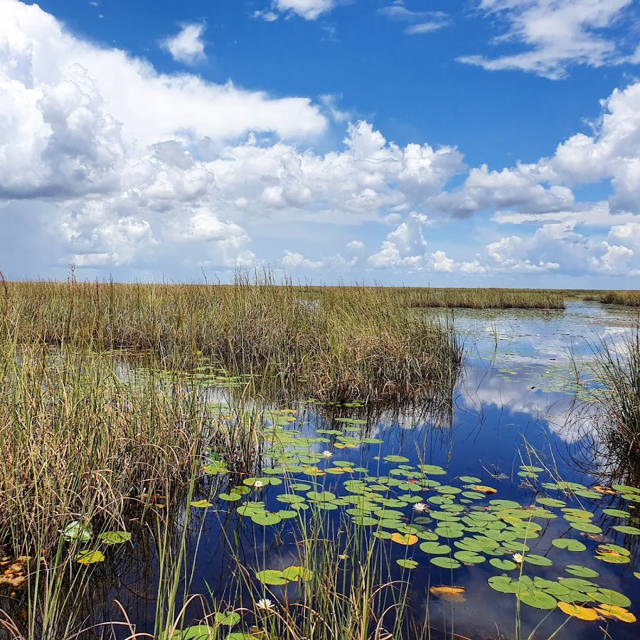 Francis S. Taylor Wildlife Management Area | Florida USA 🇺🇸