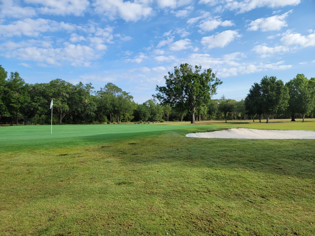 Sebring Municipal Golf Course | Florida USA 🇺🇸 – TortoisePath | Florida ...