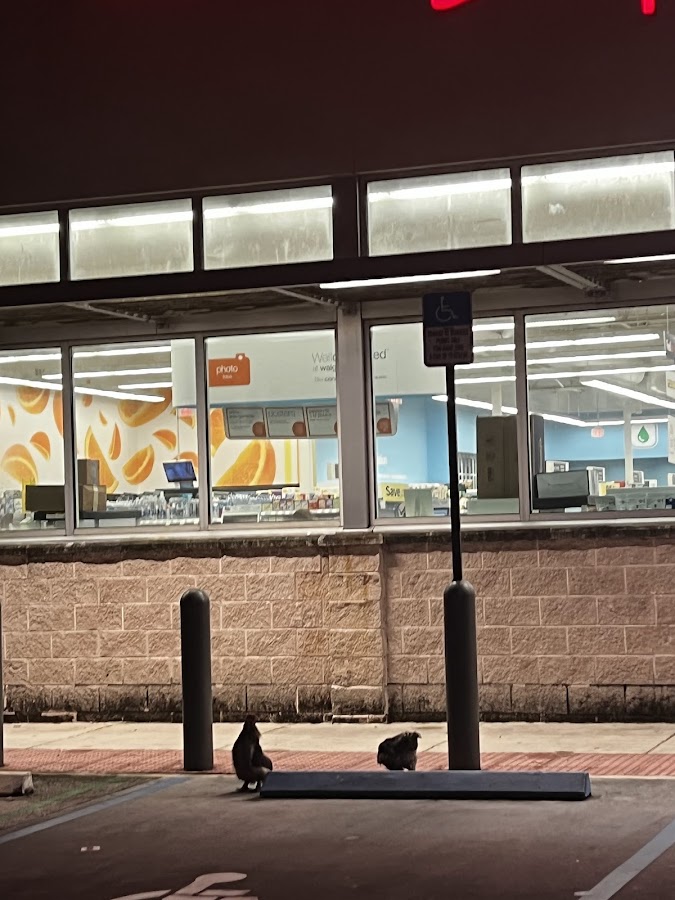 Miller Road Shopping Center | Florida USA 🇺🇸 — Miami