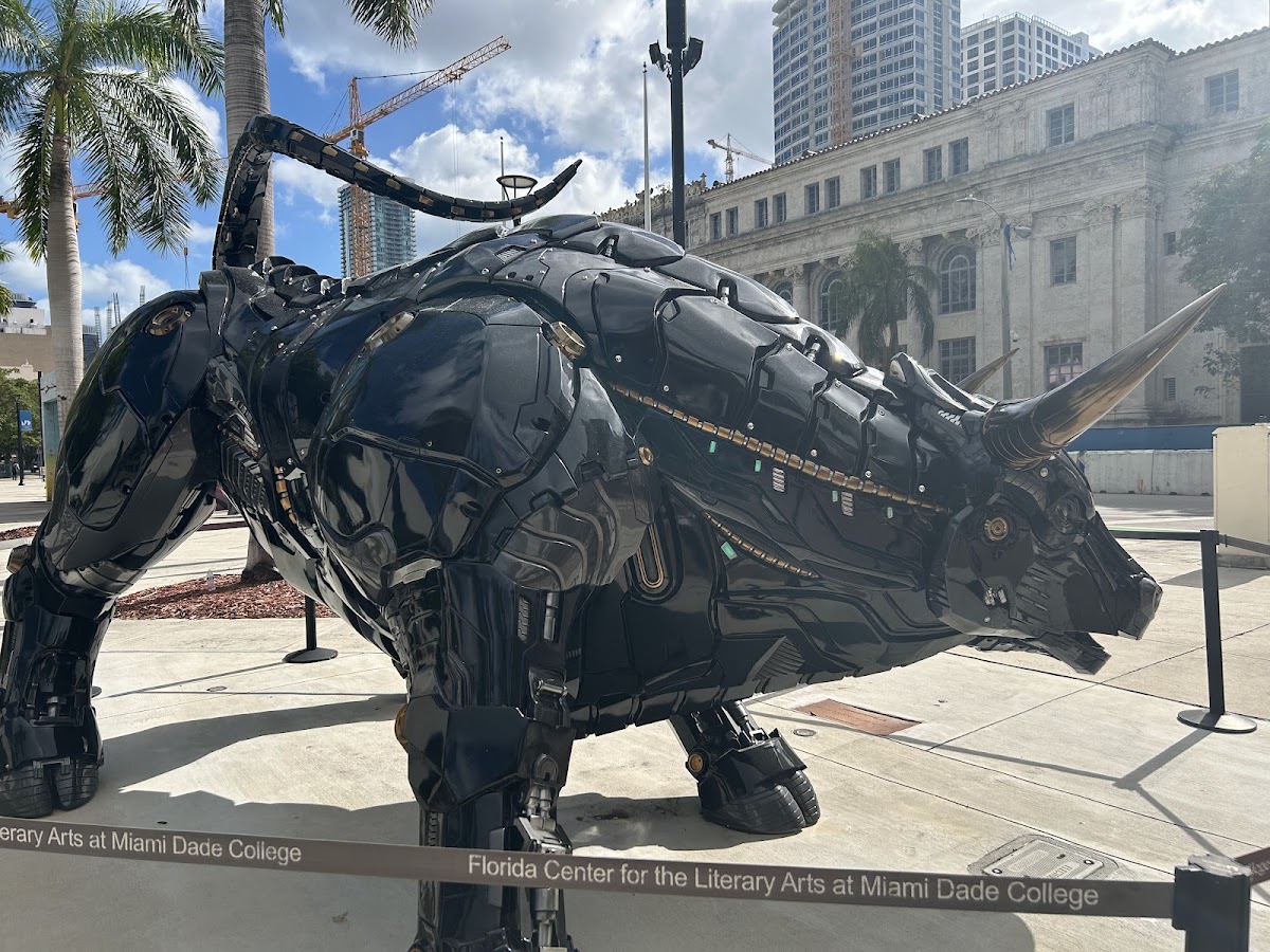 Miami Bull | Florida USA 🇺🇸 — Miami