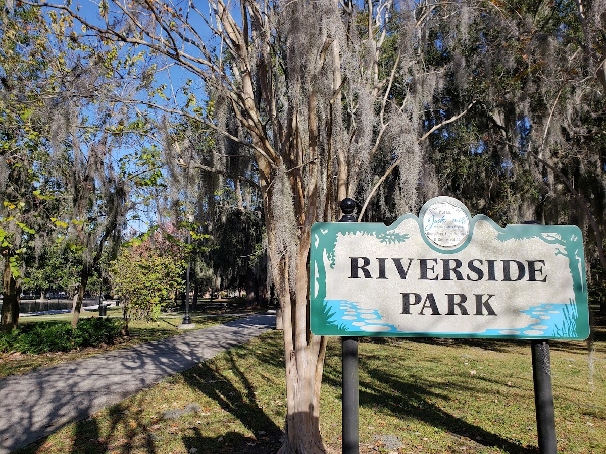 Riverside Park | Florida USA 🇺🇸 — Jacksonville