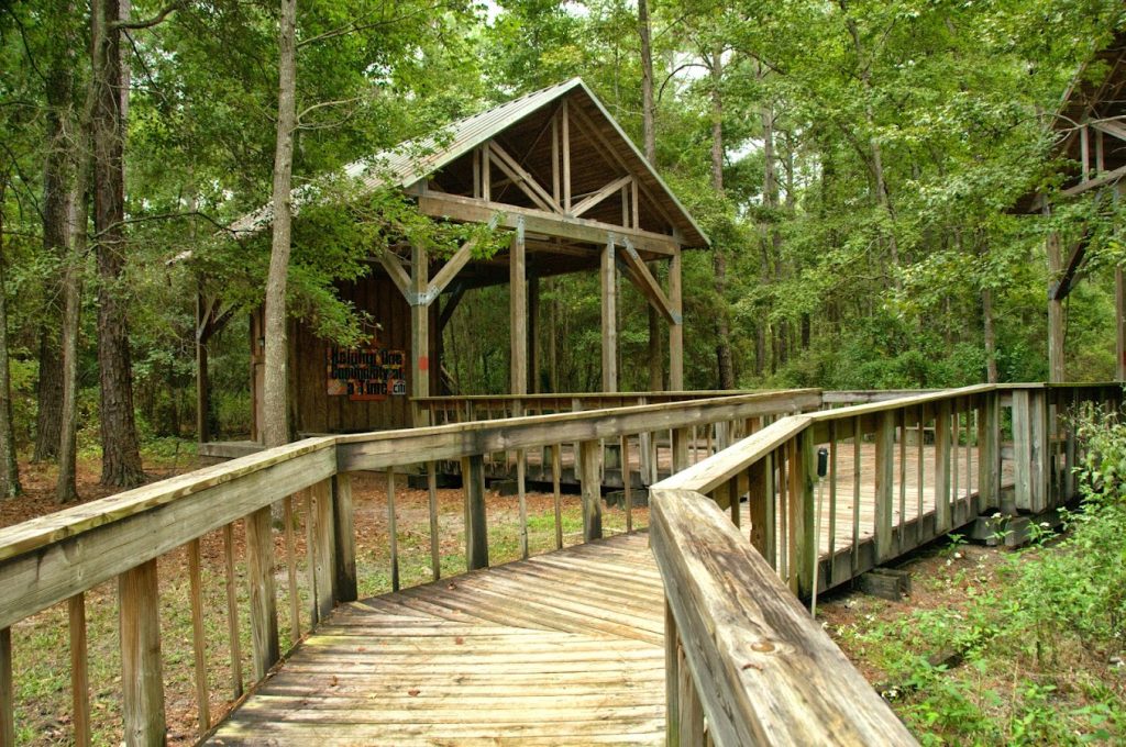 Tillie K. Fowler Regional Park | Florida USA 🇺🇸 in Ghana