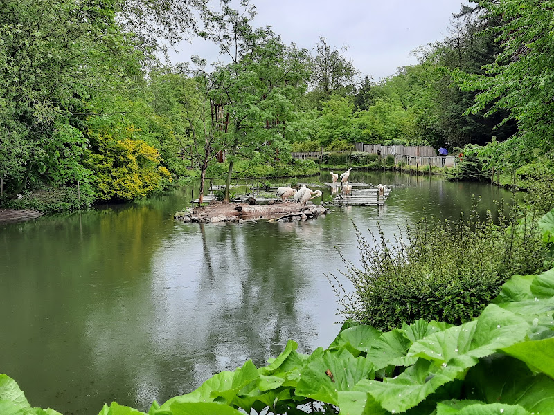 Zoo de Lille | France | France — Lille