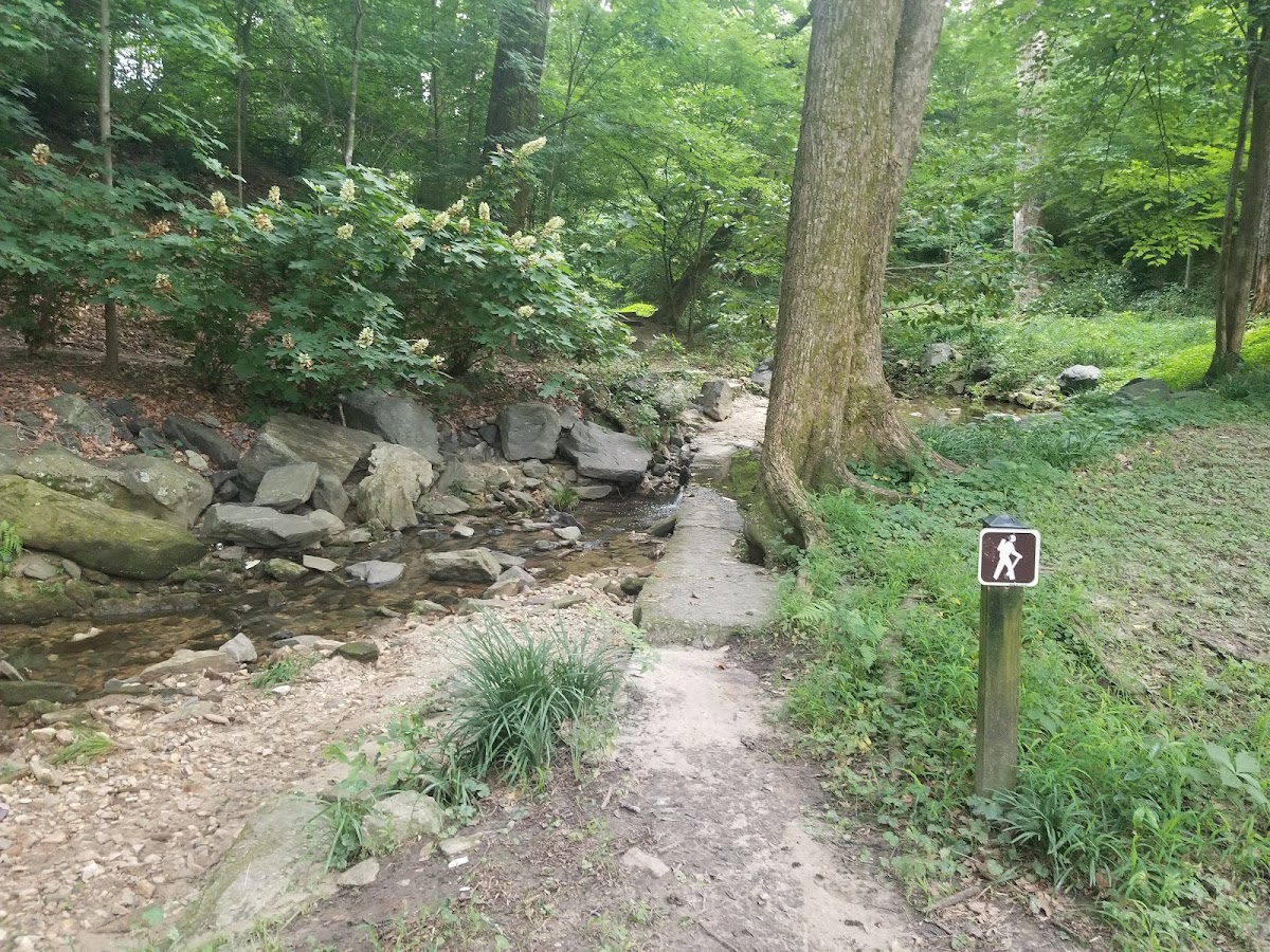 Ansley Park | Georgia USA 🇺🇸 — Atlanta