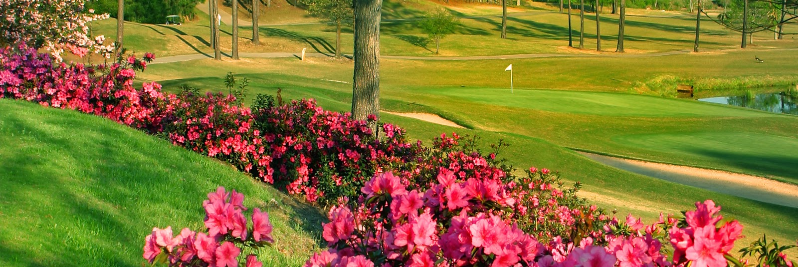 Chapel Hills Golf Club | Georgia USA 🇺🇸 — Atlanta
