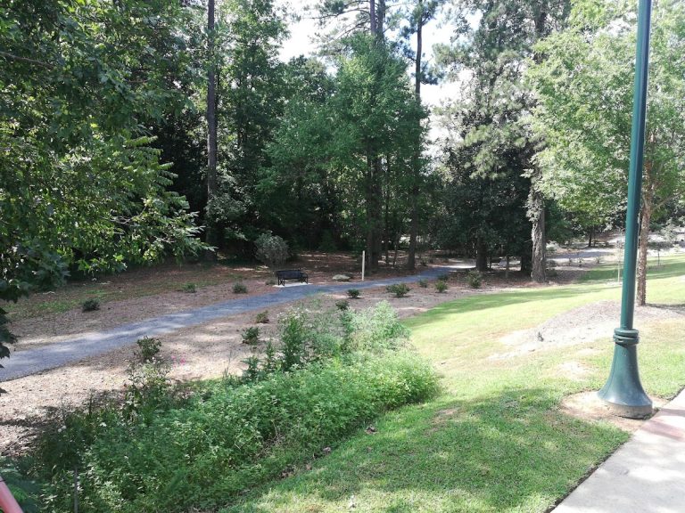 Abernathy Greenway South Trail Park | Georgia USA 🇺🇸
