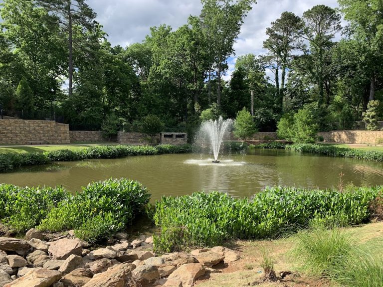 Marsh Creek Rain Garden Park | Georgia USA 🇺🇸