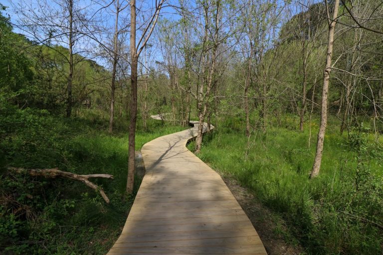 Blue Heron Nature Preserve | Georgia USA 🇺🇸