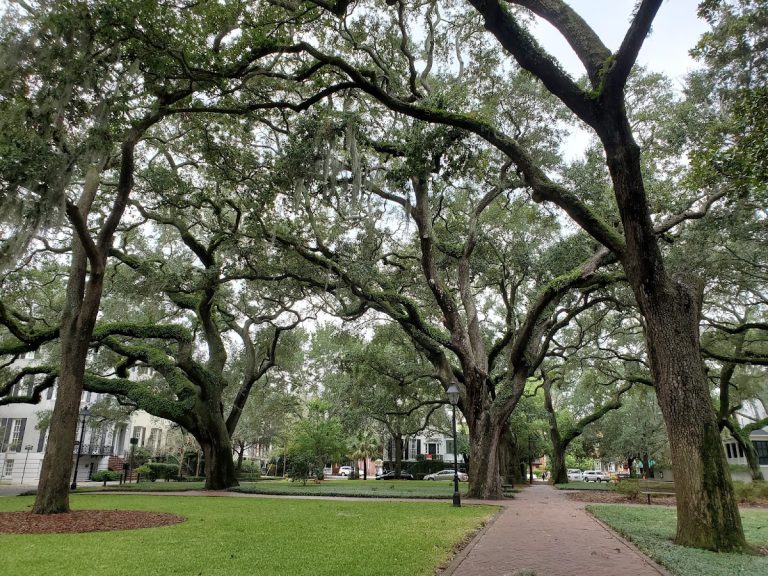 Pulaski Square | Georgia USA 🇺🇸