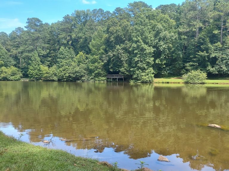 Memorial Park Playground | Georgia USA 🇺🇸